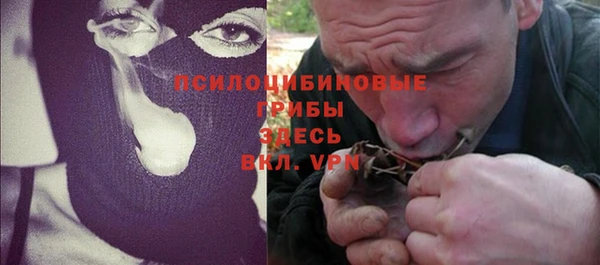 apvp Алзамай