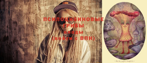 твердый Абаза