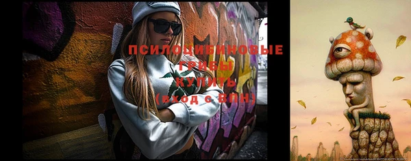 СК Абинск