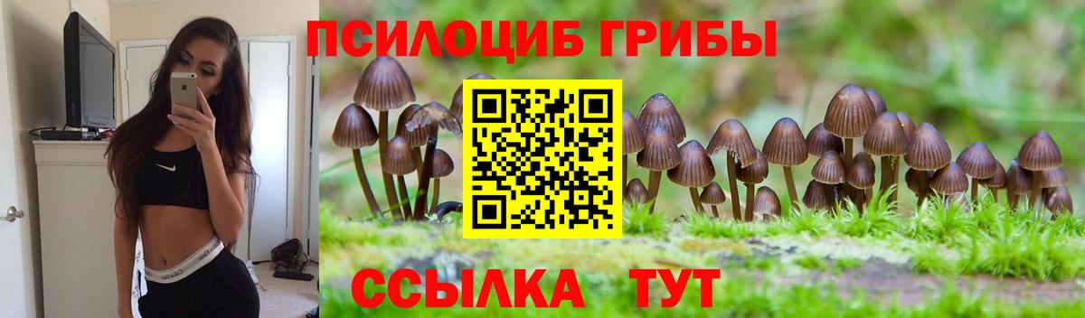 Псилоцибиновые грибы прущие грибы Иркутск